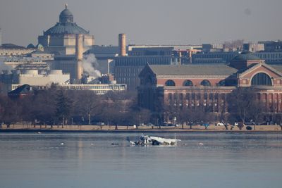 Aviation expert "embarrassed" by Trump