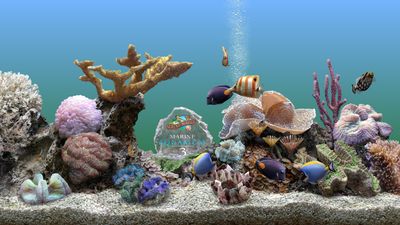 A former Air Force pilot was so disappointed with Windows 95's aquarium screensaver that he established a 25-year dynasty of digital fish that continues to this day