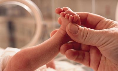 Microplastics in placentas linked to premature births, study suggests