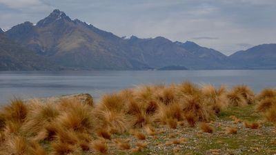 Climate scientists mock NZ's one per cent cut pledge