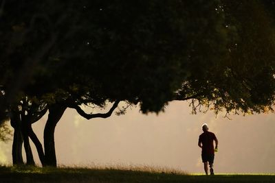 Exercise could lead to brain changes that help stave off dementia, study finds