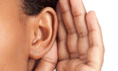 ‘A neural fossil’: human ears try to move when listening, scientists say