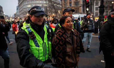 Pressure grows on Met over ‘heavy-handed’ policing of pro-Gaza protest