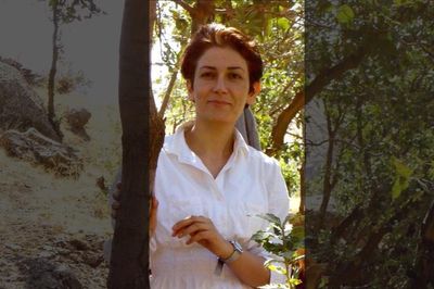 Iran's record execution rate casts shadow on death penalty reprieve for Kurdish activist Pakhshan Azizi