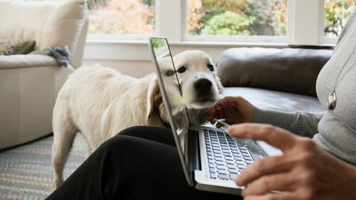 Research reveals that many pet owners still believe outdated information – are you among them?