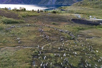 Green Energy Projects Adding To Sami People's Climate Woes: Amnesty