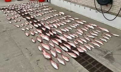 Poachers from Mexico busted with illegal red snapper haul off Texas