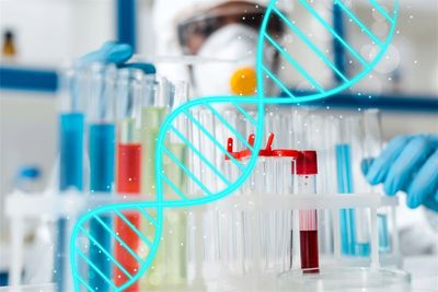 GeneDx: Even After Up 2,700% in 2024, Upside Is Still in Play