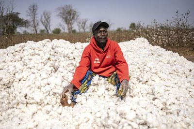 Benin Seeks Home-grown Cotton 'Revolution'