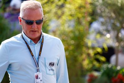 Horner: Removing Herbert as FIA F1 steward "the right decision"