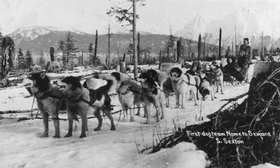 The Alaskan hero dogs who prevented a diphtheria epidemic in 1925