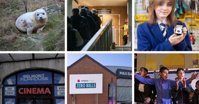 Good News Scotland: Your positive selection of stories from January
