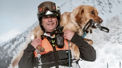 My life as an avalanche dog: meet the heroic hounds of ski patrol