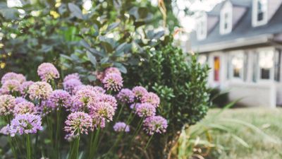 9 essential gardening jobs you can do now to guarantee a successful growing season and long-lasting color