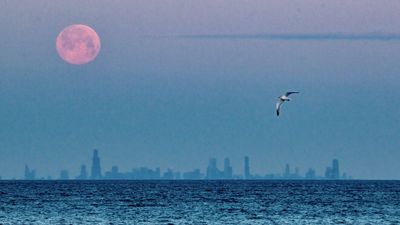 February full moon 2025: See Mars disappear behind the Snow Moon