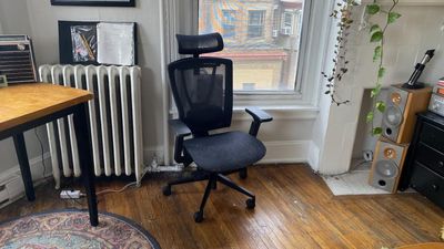 Autonomous ErgoChair Mesh Review: I tested the new-and-improved sibling to the ErgoChair Pro