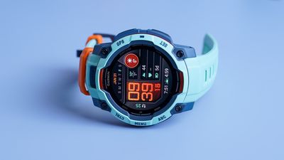 Garmin Instinct 3 review: A fun, tough Fenix alternative with a twist