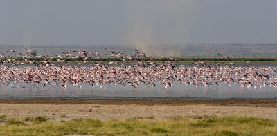 Burkina Faso’s nature reserves are worth protecting – but people have to be part of the plan