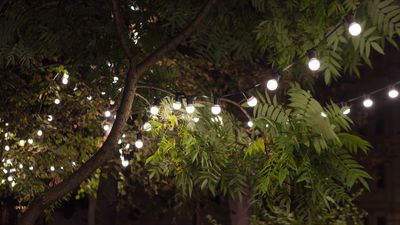 7 common outdoor lighting mistakes — and how to fix them