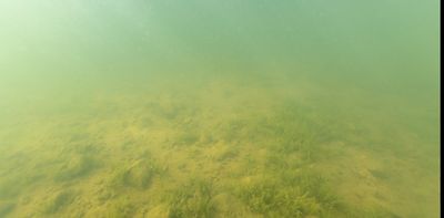 Lake beds are rich environmental records — studying them reveals much about a place’s history