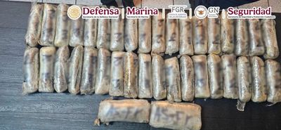 Mexican Armed Forces Seize 4 Tons of Meth Hidden in Dog Food Packages Near California Border