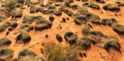 Poison baits were used on 1,400 feral cats, foxes and dingoes. We studied their fate to see what works