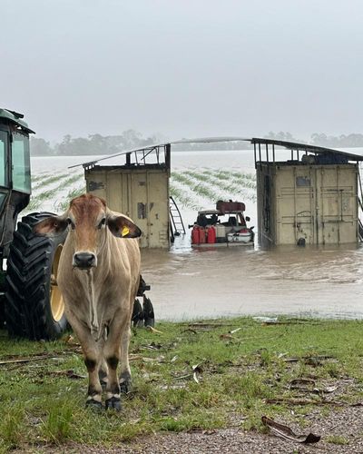 ‘Really quite scary’: with no power and dwindling supplies, Queensland’s flooded north dreads the worst