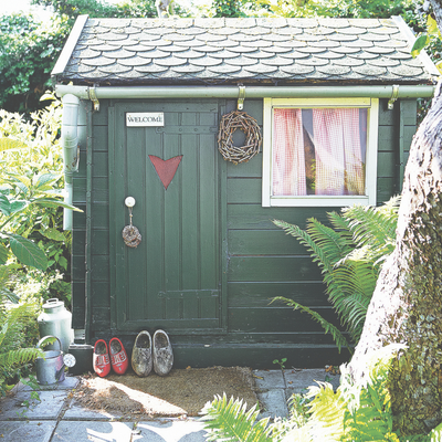 5 ways to make a shed bird-friendly — garden experts reveal how to use your shed to encourage birds into your garden