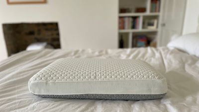 I don't recommend memory foam for hot sleepers, but Soak & Sleep's pillow is the perfect solution