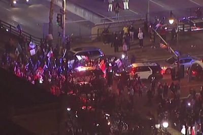 Anti-Trump protesters block LA freeway for hours in response to president's illegal immigration crackdown