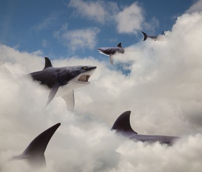 Who's King of Cloud Revenue Growth? Hint: It's Not Amazon or Microsoft