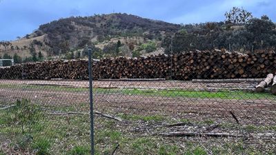 Industry shoots down calls to axe native logging