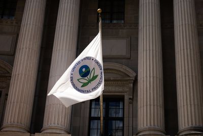 EPA warns more than 1,100 employees could be fired 'immediately‘ amid Trump government cutbacks