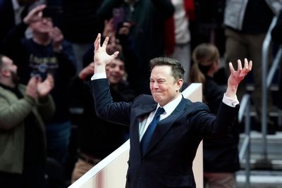 Musk is a 'special government employee,' the White House confirms