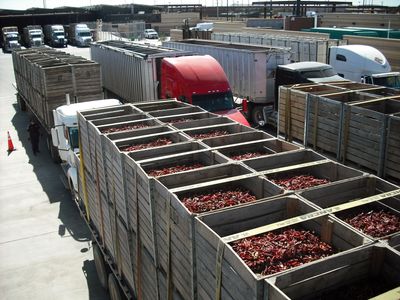 Mexico and Canada announce one-month pause in threatened Trump tariffs