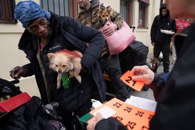 Vaccination clinics set up after surge in deadly canine parvovirus in San Francisco