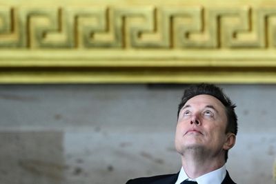 Musk's US Government 'Takeover' Sounds Alarm Bells