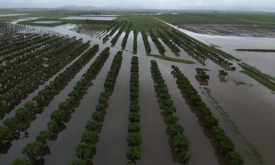 Woman’s body found in paddock in second north Queensland floods death