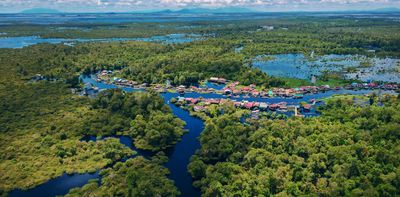 Peatlands and mangroves: Southeast Asian countries must protect these major carbon pools to boost climate ambitions