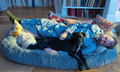 Will a dog bed for humans improve my life? My pets and I found out