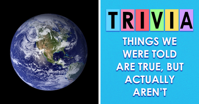 The Ultimate Fake Truths Challenge: Find Out Some Of The Most Widely Believed Facts And Surprise Yourself With These Questions