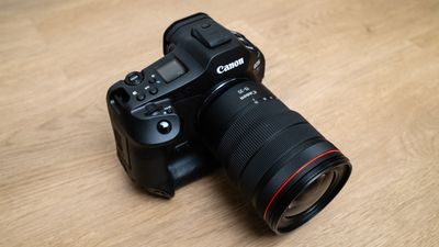 Canon's hefty ultra-wide zoom lens for pros doesn't disappoint, but its excellence relies heavily on lens corrections