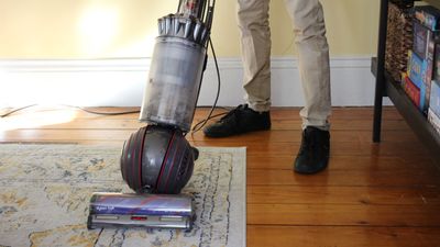 Dyson Ball Animal 3 review – pet hair and carpets are no match for Dyson's most powerful vacuum which pulls hair out of seemingly clean floors