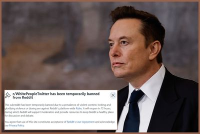 Reddit Bans Page for 'Inciting Violence' Against DOGE Employees After Elon Musk Accuses Users of Breaking the Law