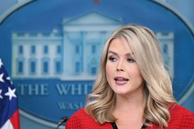 White House Press Secretary Karoline Leavitt Says She Has No Idea If Elon Musk Has A Security Clearance