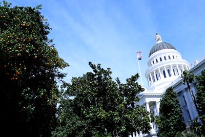 Democratic-Led California Assembly Pledges $50M to Continue Defying Trump's Immigration Crackdown