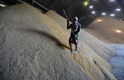 Japan will loosen its grip on the country’s fiercely guarded rice stockpile as prices soar to their highest levels ever