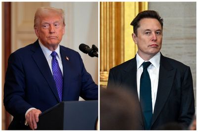 Plants and fake news: All the ways Trump and Musk have floated catching government leaks