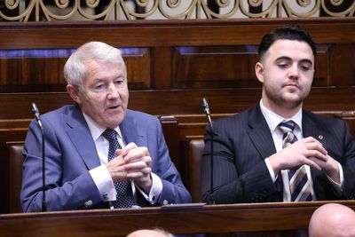 Dail expected to return to normality after speaking rights row resolved