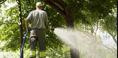 To keep your cool in a heatwave, it may help to water your trees